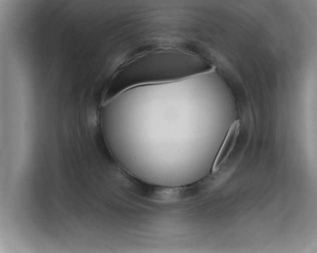 X0000111530084200907141305