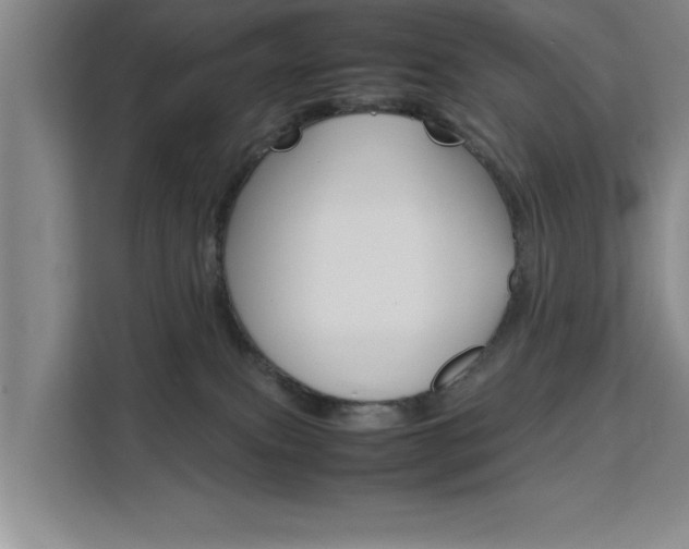 X0000111530087200907141305