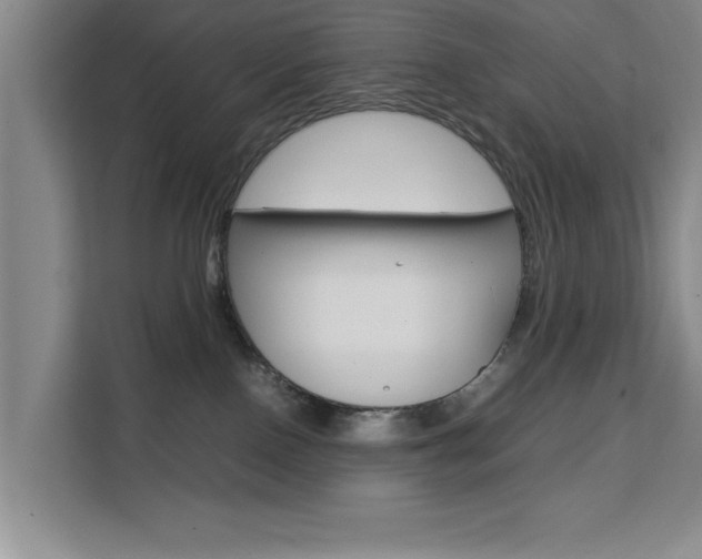 X0000111530090200907141305