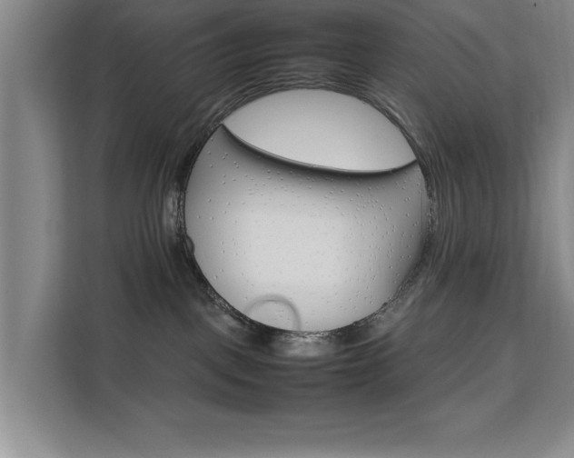 X0000111530093200907141305