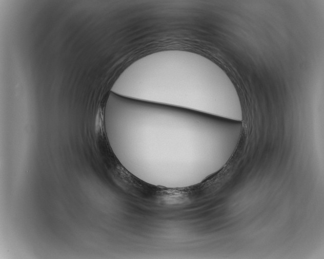 X0000111530095200907141305