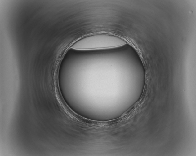 X0000111530097200907141305