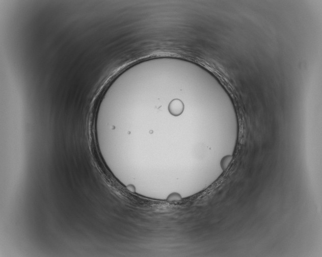 X0000111530098200907141305