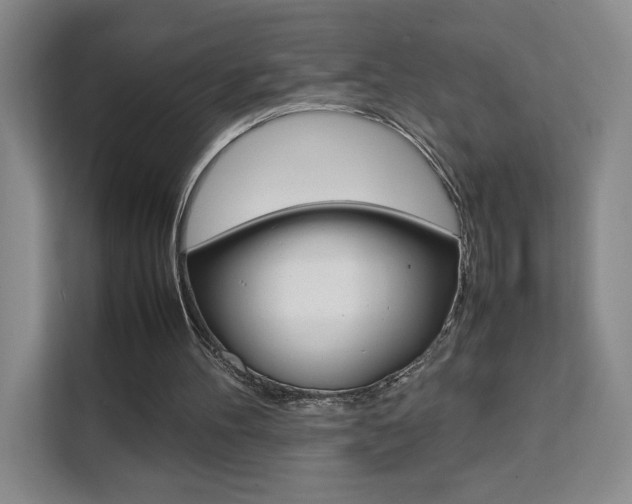 X0000111530100200907141305