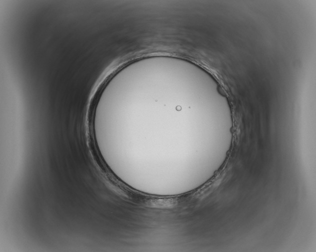 X0000111530102200907141305