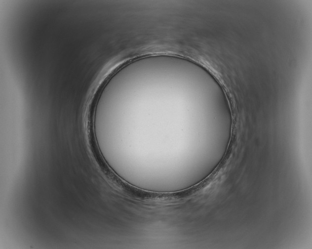 X0000111530103200907141304