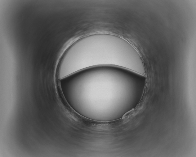 X0000111530104200907141304