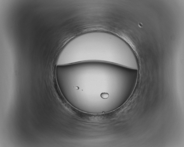 X0000111530105200907141304