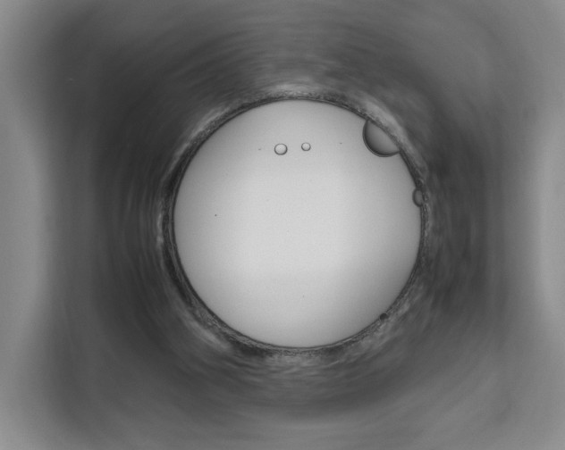 X0000111530106200907141304