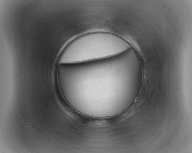 X0000111530108200907141304