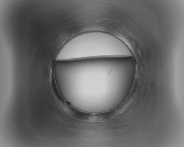 X0000111530109200907141304