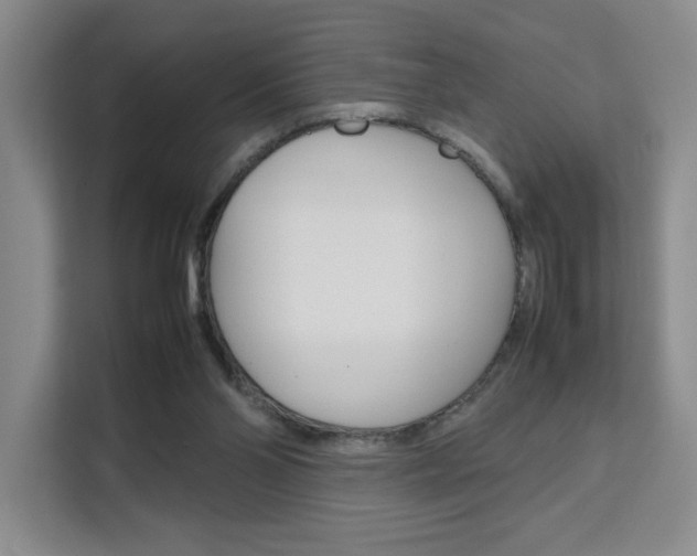 X0000111530110200907141304