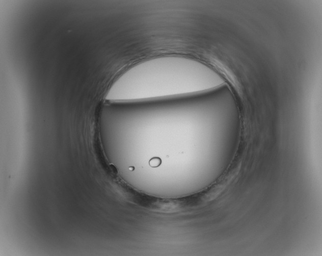 X0000111530113200907141304