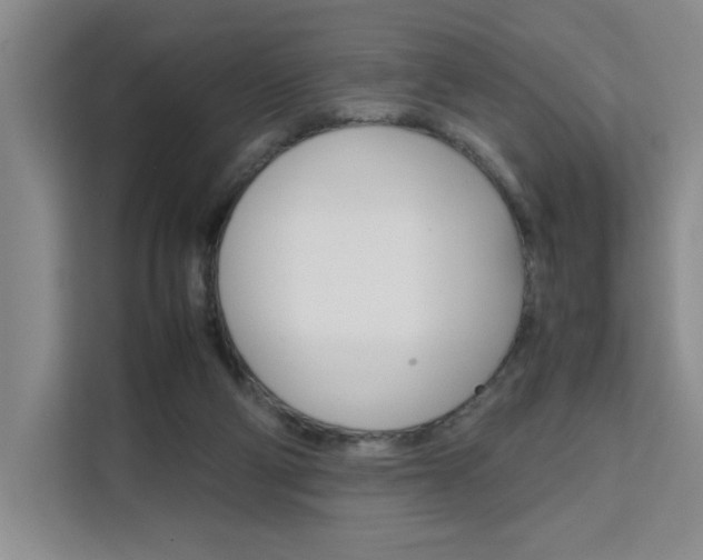 X0000111530114200907141304