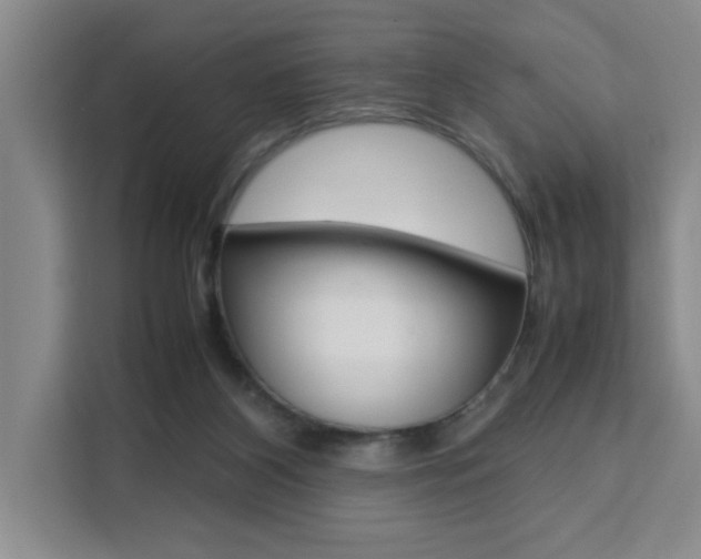 X0000111530116200907141304