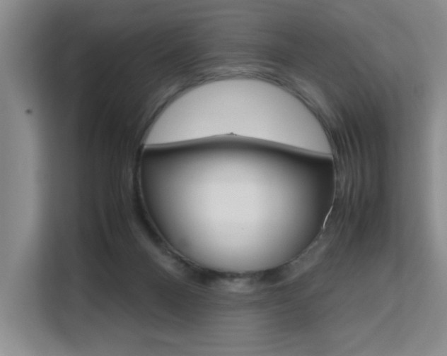 X0000111530120200907141304