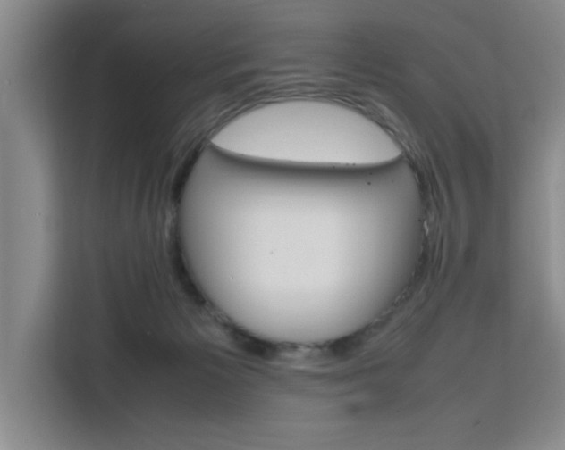 X0000111530125200907141304