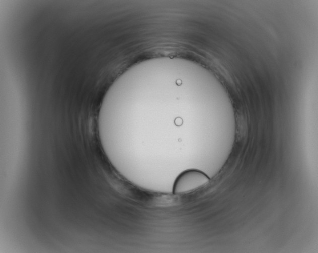 X0000111530126200907141304