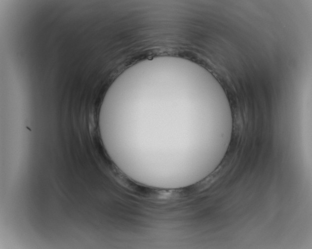 X0000111530130200907141304