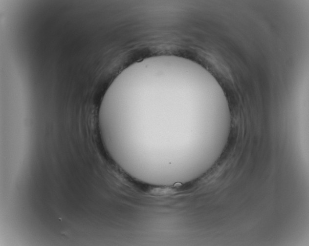 X0000111530133200907141304