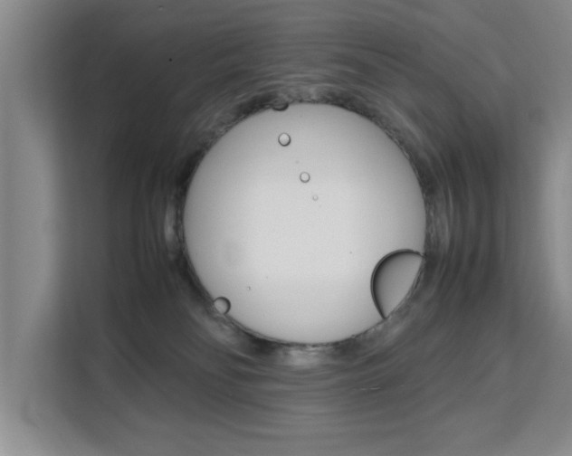 X0000111530134200907141304