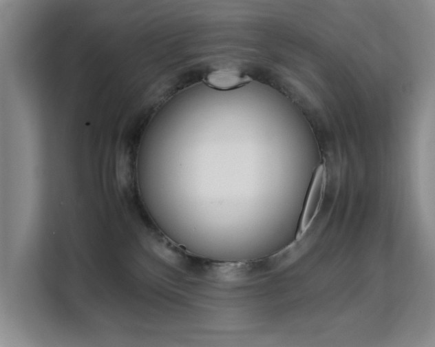 X0000111530136200907141304