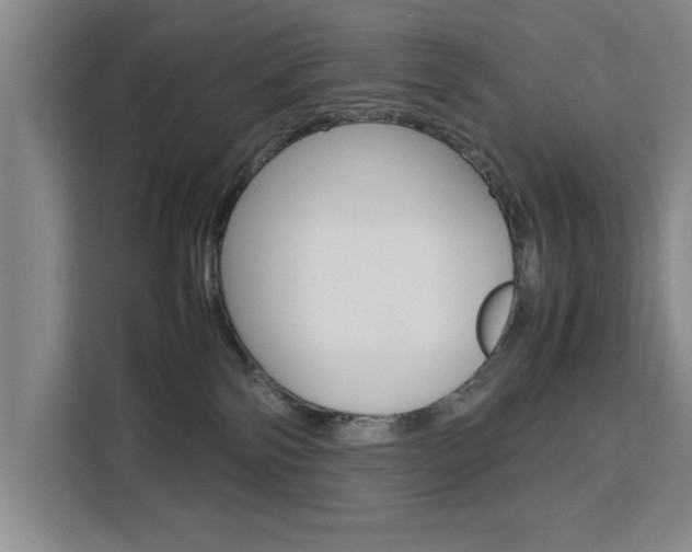 X0000111530138200907141304