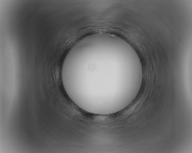 X0000111530139200907141304