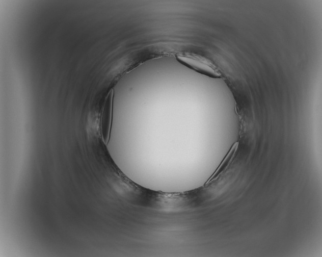 X0000111530141200907141304