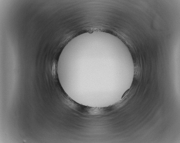 X0000111530142200907141304