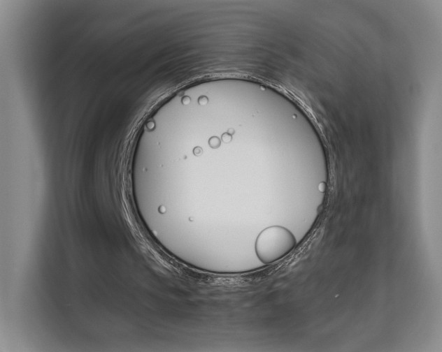 X0000111530145200907141303