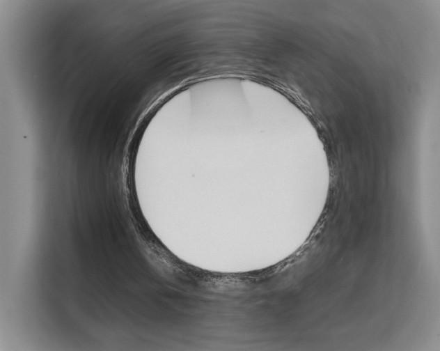 X0000111530146200907141303