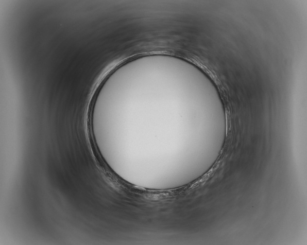 X0000111530147200907141303