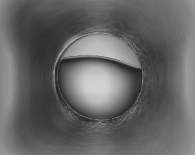 X0000111530148200907141303