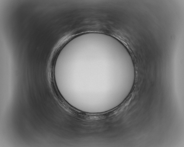 X0000111530149200907141303