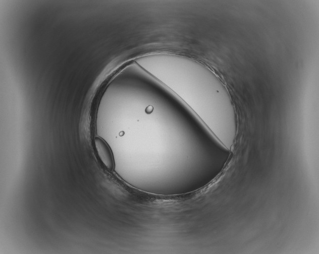 X0000111530150200907141303