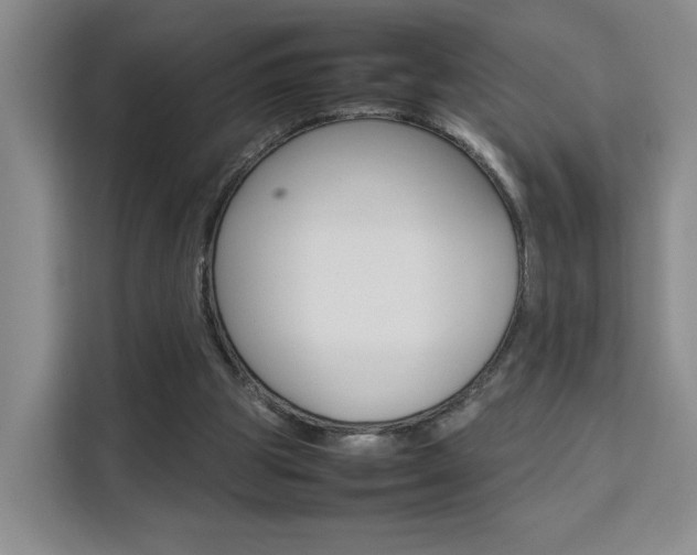 X0000111530153200907141303