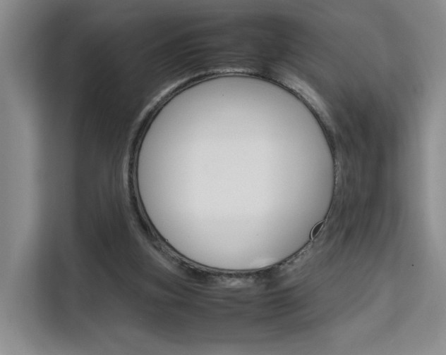 X0000111530155200907141303