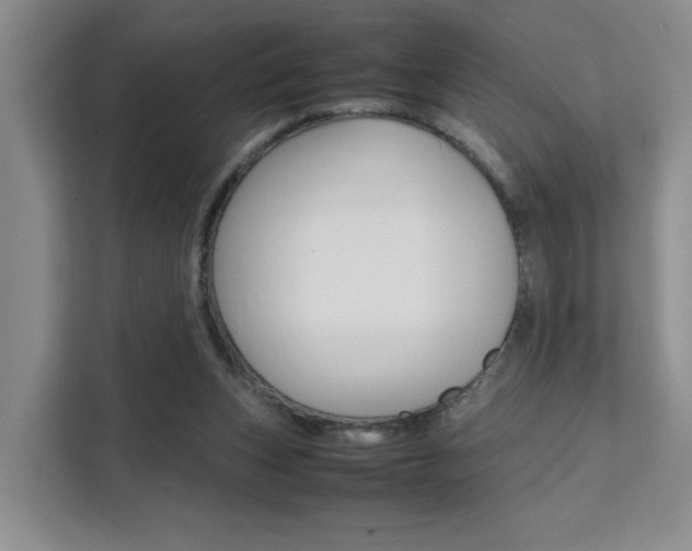 X0000111530159200907141304