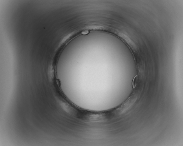 X0000111530160200907141304