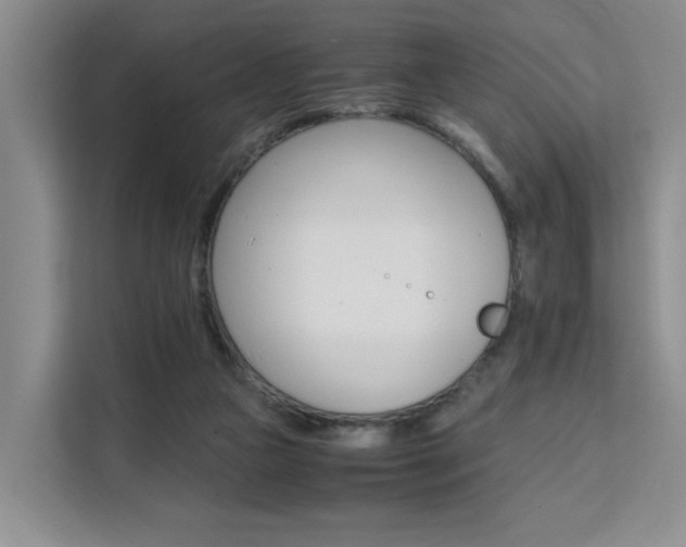 X0000111530161200907141304