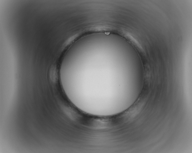 X0000111530164200907141304