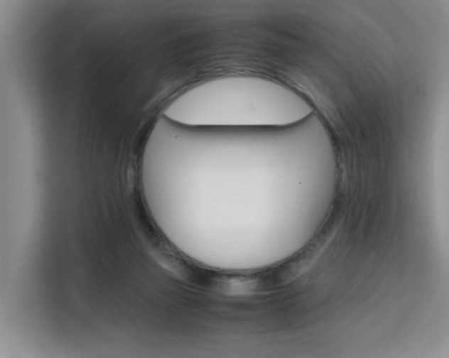 X0000111530165200907141304