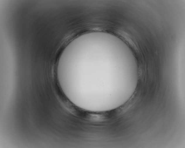 X0000111530167200907141304