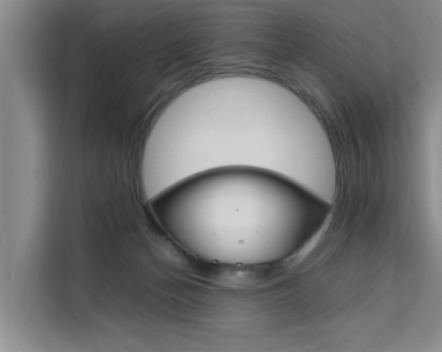 X0000111530174200907141304