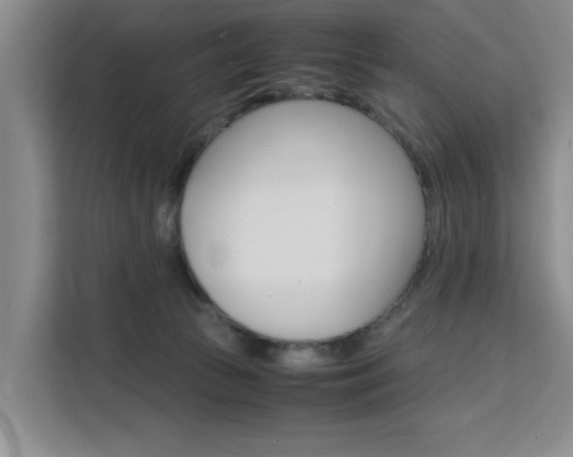 X0000111530177200907141304