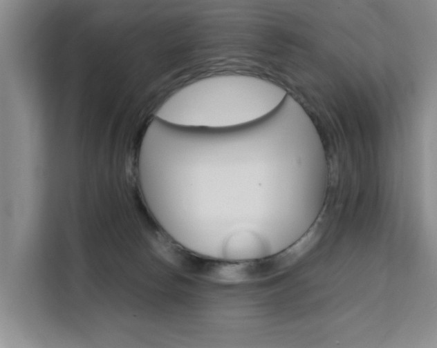 X0000111530178200907141304