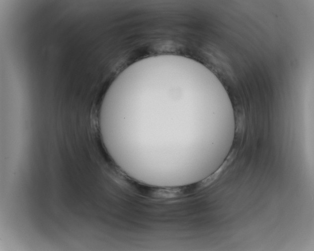 X0000111530179200907141304