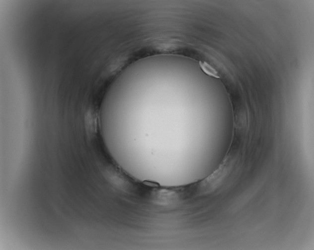 X0000111530180200907141304