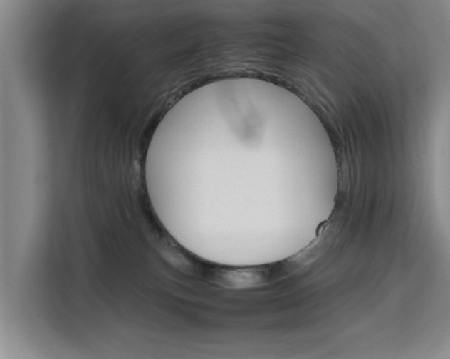 X0000111530183200907141304